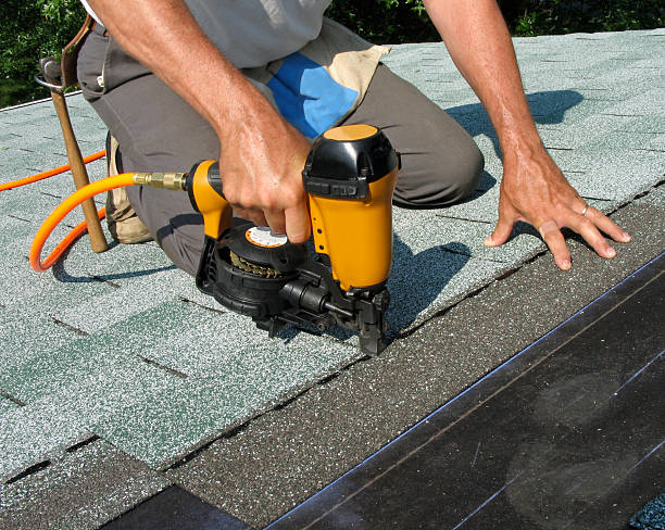 Best Roof Gutter Cleaning  in Vassar College, NY