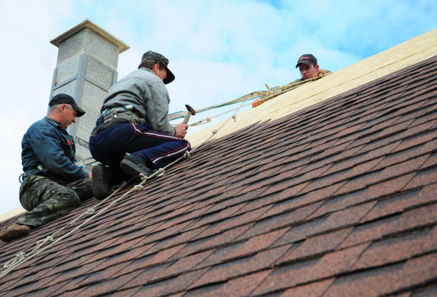 Best Shingle Roofing Installation  in Vassar College, NY
