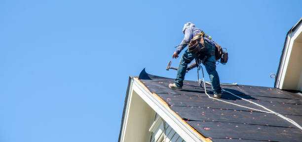 Roof Gutter Cleaning in Vassar College, NY